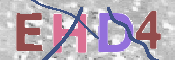 この文字を入力してください