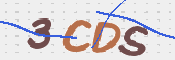 この文字を入力してください