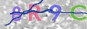 この文字を入力してください