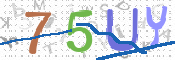 この文字を入力してください