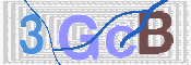 この文字を入力してください