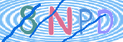この文字を入力してください