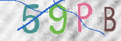 この文字を入力してください