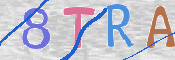 この文字を入力してください