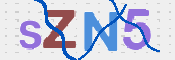 この文字を入力してください