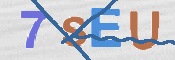 この文字を入力してください