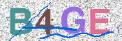 この文字を入力してください