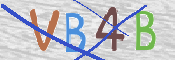 この文字を入力してください