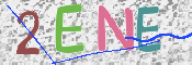 この文字を入力してください