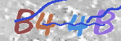 この文字を入力してください