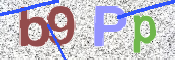 この文字を入力してください