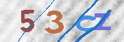 この文字を入力してください