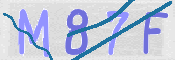 この文字を入力してください