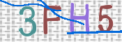 この文字を入力してください