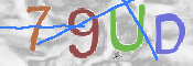 この文字を入力してください