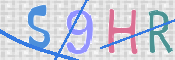 この文字を入力してください