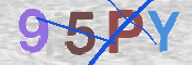 この文字を入力してください