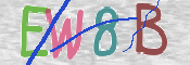 この文字を入力してください