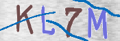 この文字を入力してください