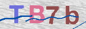 この文字を入力してください