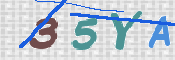 この文字を入力してください