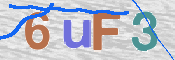 この文字を入力してください