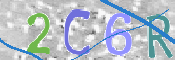 この文字を入力してください