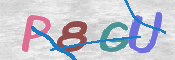 この文字を入力してください