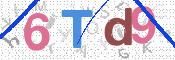 この文字を入力してください