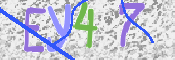 この文字を入力してください