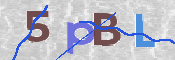 この文字を入力してください