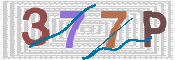 この文字を入力してください