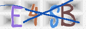 この文字を入力してください