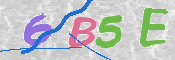 この文字を入力してください