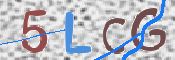 この文字を入力してください