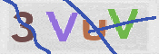 この文字を入力してください