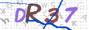この文字を入力してください