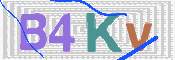 この文字を入力してください