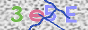 この文字を入力してください