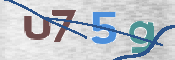 この文字を入力してください