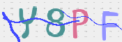 この文字を入力してください