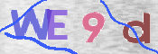 この文字を入力してください