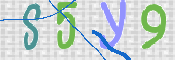 この文字を入力してください