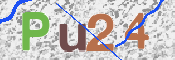 この文字を入力してください