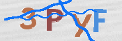 この文字を入力してください