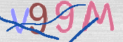 この文字を入力してください