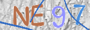 この文字を入力してください