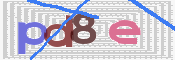 この文字を入力してください