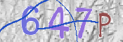 この文字を入力してください