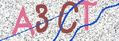 この文字を入力してください